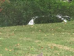 -上海虹桥迎宾馆