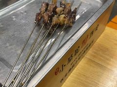 -福苗小骆驼烧烤(莲湖路店)