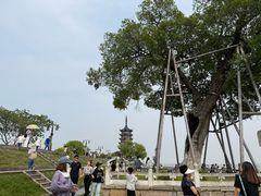 -观潮胜地公园