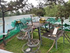 -西霞口神雕山野生动物世界