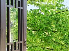 -沙家浜风景区
