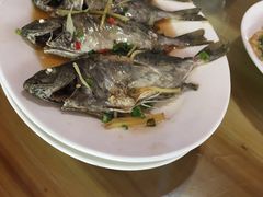 -礁美村海里捞旅游有限公司