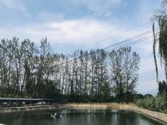 -马楼鱼庄(蓝田)