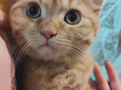 -爱乐蒙艺术·古筝 钢琴 声乐(科华校区)