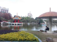 -金砂公园