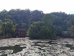-野象谷景区