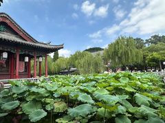 -济南大明湖景区