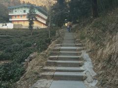 -东天目山风景区