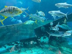 -福州罗源湾海洋世界旅游区