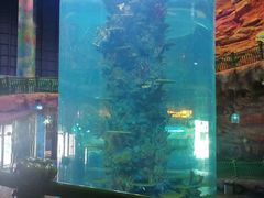 -青岛嘉年华主题乐园