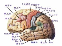 -裕和堂中医推拿艾灸(太古汇臻品店)