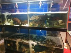 水产区-美味海鲜大排档(明发美食地标店)