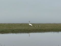 -东楠湾足浴·24H(金平路店)