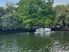 -荔湾湖公园