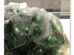 -中国地质博物馆