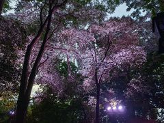 -龟山风景区-龟山电视塔