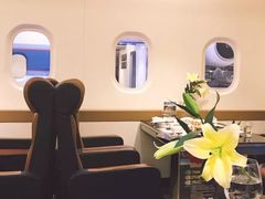 -法兰度航空主题餐厅(东汇城店)