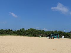 -日照海滨国家森林公园