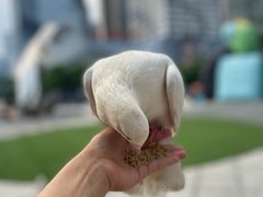 -IPARK购物中心