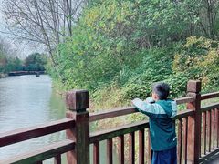 -溱湖国家湿地公园