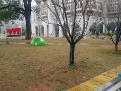 -长沙市青少年宫