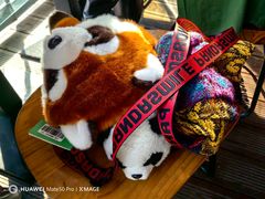 -鸡鸣汤包(红山动物园店)