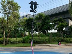 -宝安西湾红树林湿地公园