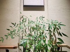-梅间堂茶馆(绿地缤纷城店)
