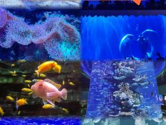 -多彩贵州城极地海洋世界