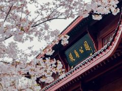 -堤角公园
