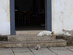 -棠樾牌坊群鲍家花园景区
