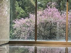 -广州越秀国际会议中心