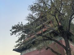 -姚记炒肝店(鼓楼店)