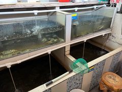 -水岸居湖景农家乐·阳澄湖大闸蟹