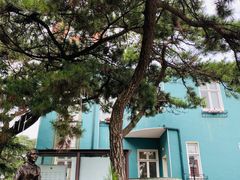 -八大关景区