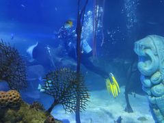 -沈阳海洋探索中心