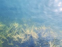 -仙海旅游度假区