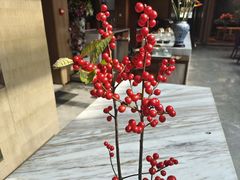 -南堂馆·新川菜(天府三街店)