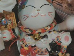 -YOGO优果密室逃脱(新佳丽广场店)