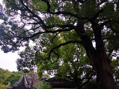 -惠山古镇·寄畅园