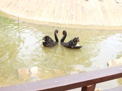 -济南野生动物世界