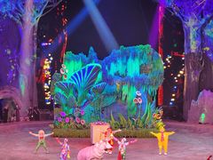 -广州长隆国际大马戏