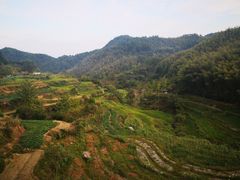 -灵山景区梯田