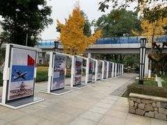 -成飞公园