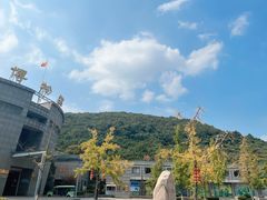 -金钉子远古世界景区
