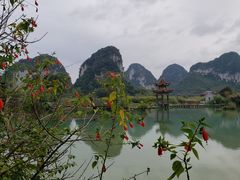 -靖西鹅泉风景区