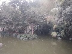 -人民公园(罗湖区)