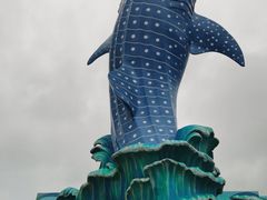 -珠海长隆海洋王国