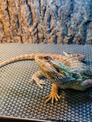 -酷嗒动物文化乐园(cutezoo西溪乐天城店)