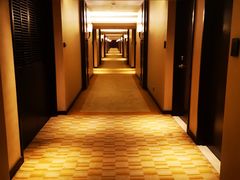 -马尼拉半岛酒店